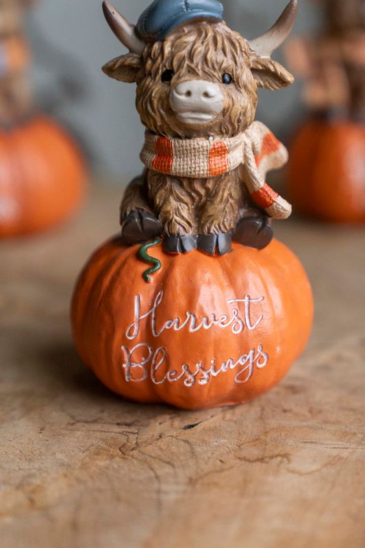 Dekorko m/pumpa - Harvest Blessings