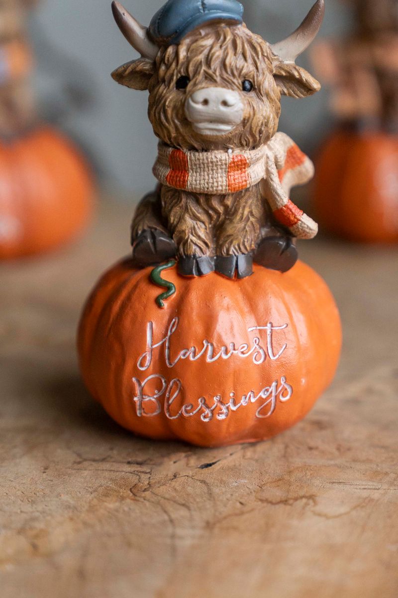 Dekorko m/pumpa - Harvest Blessings
