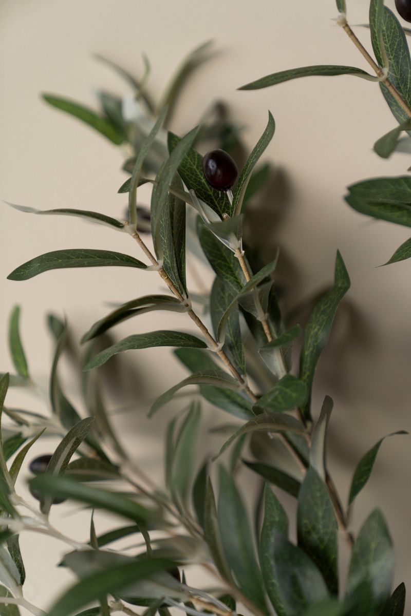 Konstgjord planta – Olivträd 120cm