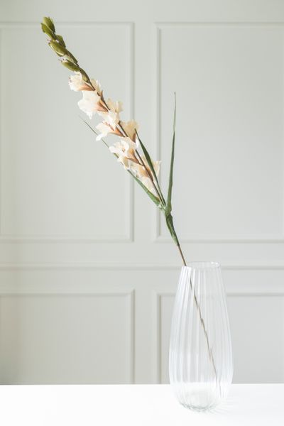 Huvudbild Konstgjord Blomma Gladiol 106cm - Beige
